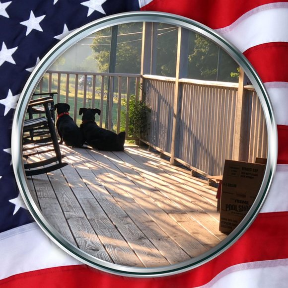 Meet your Posher, Chad - Picture 1 of 1